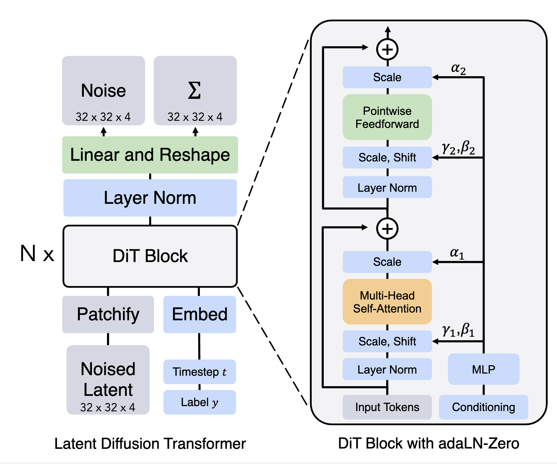 Diffusion Transformer architecture diagram